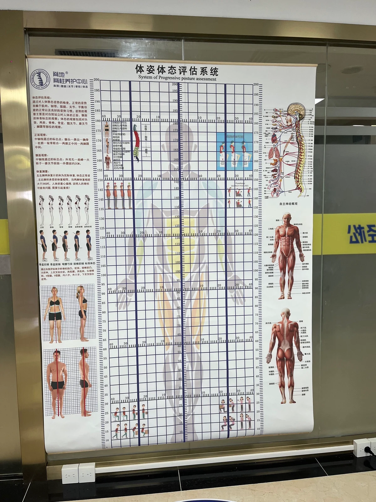 如何为篮球教练提供持续的专业辅导_2